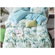 КПБ Cleo сатин набивной "Satin Lux" евро 200*220*1 220*240*1 50*70*2 70*70*2 31/509-SL