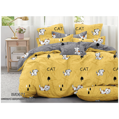 Постельное белье поплин 100% хлопок 2904П, 1.5-спальное, пододеяльник 145 х 215 см, наволочки 70х70 см Sleeping Place