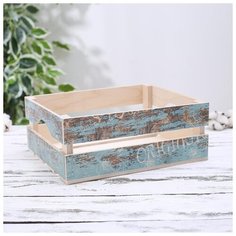 Ящик Хоум синий 300х250х120 мм 5365636 Сима ленд