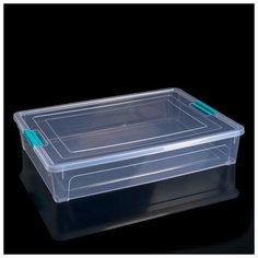 Контейнер для хранения "Smart Box" 5,5л, цвет прозарачно-бирюзовый 4650027 Алеана