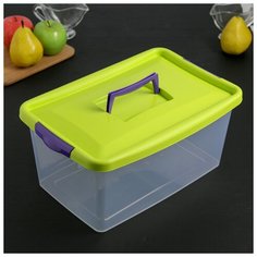 Контейнер для хранения 9л 4386109 Idea (М Пластика)