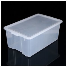 Контейнер для хранения Porter 50 л, цвет прозрачный 4407571 Berossi