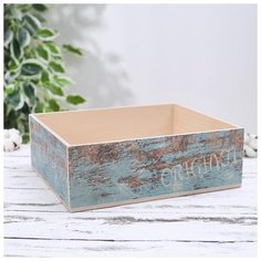 Ящик Малыш синий 300х250х100 мм 5365633 Сима ленд