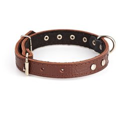 Ошейник KareLine 16мм 270-350мм коричневый