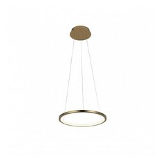 Подвесной светодиодный светильник Loft IT Ring 10014S