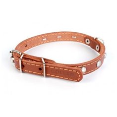 ошейник collar одинарный с украшениями (ширина 12мм, длина 24-32см) коричневый (2 шт)