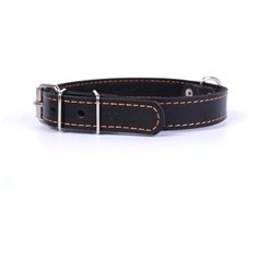 ошейник collar одинарный (ширина 14мм, длина 27-35см) чёрный (2 шт)