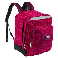 Школьный рюкзак П3821 розовый Polar