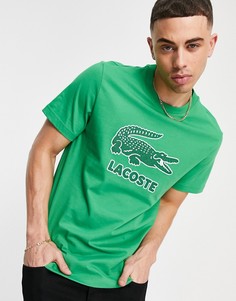 Зеленая футболка с логотипом-крокодилом на груди Lacoste-Зеленый цвет