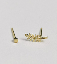 Позолоченные серьги-гвоздики с пером из стерлингового серебра Kingsley Ryan-Золотистый