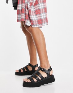 Черные сандалии на платформе с ремешками и пряжкой Schuh Tallulah-Черный цвет