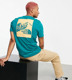 Зеленая футболка с принтом The North Face – эксклюзивно для ASOS-Зеленый цвет