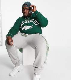 Зеленый свитшот с логотипом в университетском стиле Lacoste-Зеленый цвет