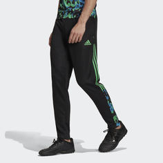 Брюки Tiro Graphic adidas Performance