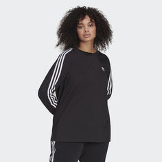 Лонгслив Adicolor Classics (Plus Size) adidas Originals
