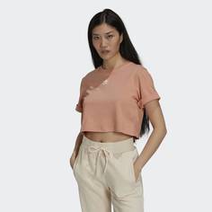Укороченная футболка Adicolor Essentials adidas Originals