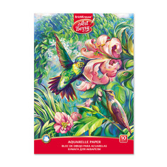 Альбом для рисования с бумагой для акварели на клею ArtBerry® Колибри, А4, 10 листов Erich Krause