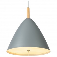 Подвесной светильник Pura 15325G Globo