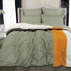 Комплект постельного белья 2 спальный с европростыней велюр Фиджи АРТПОСТЕЛЬ 221375