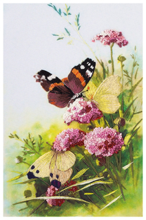 Набор для вышивания PANNA Живая картина Бабочки