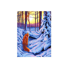 Набор для вышивания Nitex, 48х69 см 2332