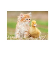 Пазл Очаровательные друзья 500 деталей Educa