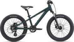 Детский велосипед GIANT STP 20 FS 2021, цвет Trekking Green, рама One size