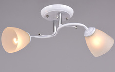 Люстра потолочная РОССВЕТ "Лютня" РС20657 WT+CR/2C