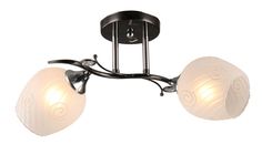 Потолочная люстра BORTEN A2240/2