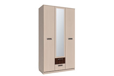 Шкаф комбинированный Hoff Рико