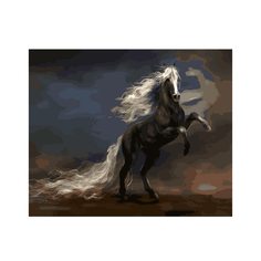 Картина по номерам красками, 40*50 см, GX1067 "Вороной конь" Дамское счастье