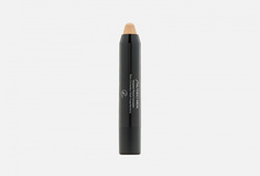 Маскирующий карандаш Shiseido
