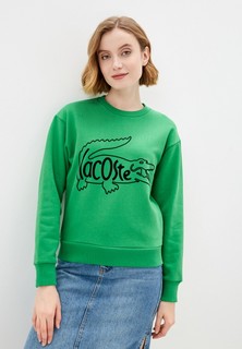 Свитшот Lacoste