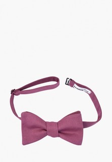 Бабочка Rainbowtie