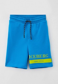Шорты спортивные Ice Iceberg