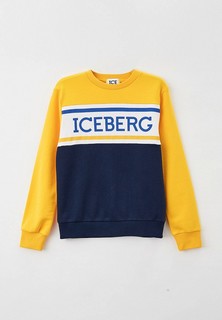 Свитшот Ice Iceberg