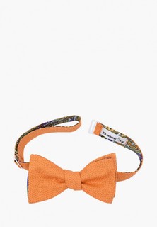 Бабочка Rainbowtie