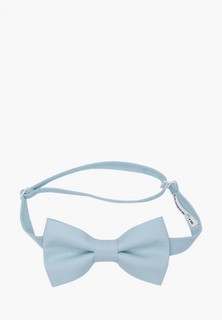 Бабочка Rainbowtie
