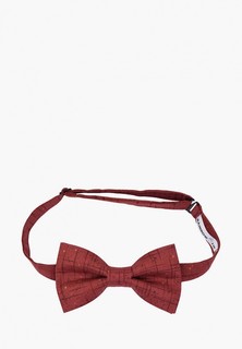 Бабочка Rainbowtie