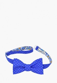 Бабочка Rainbowtie