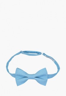 Бабочка Rainbowtie