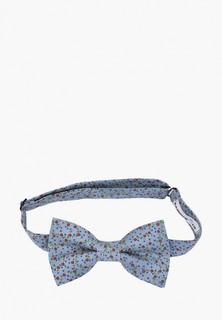 Бабочка Rainbowtie