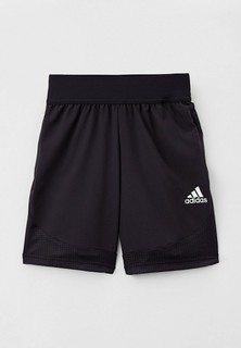 Шорты спортивные adidas