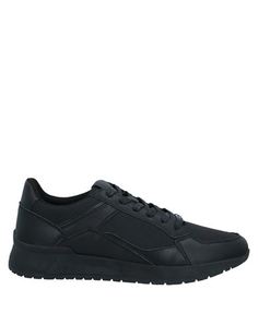 Низкие кеды и кроссовки Steve Madden
