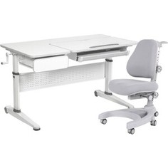 FunDesk Комплект парта Aster grey + кресло Magnolia grey