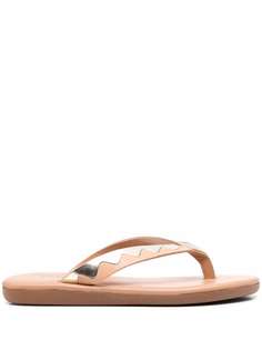 Ancient Greek Sandals шлепанцы с эффектом металлик
