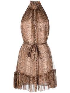 Zimmermann платье мини Ninety-Six со змеиным принтом