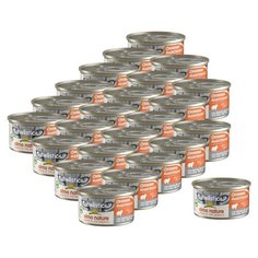 Влажный корм для кошек Almo Nature Holistic, беззерновой, с камбалой 24 шт. х 85 г (мусс)