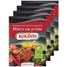 Приправа для гриля и шашлыка Мясо на углях, KOTANYI пакет 30 г (x4)