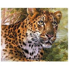 Картина по номерам на холсте 40*50 см Paintboy "Леопард" (PB-GX25167)